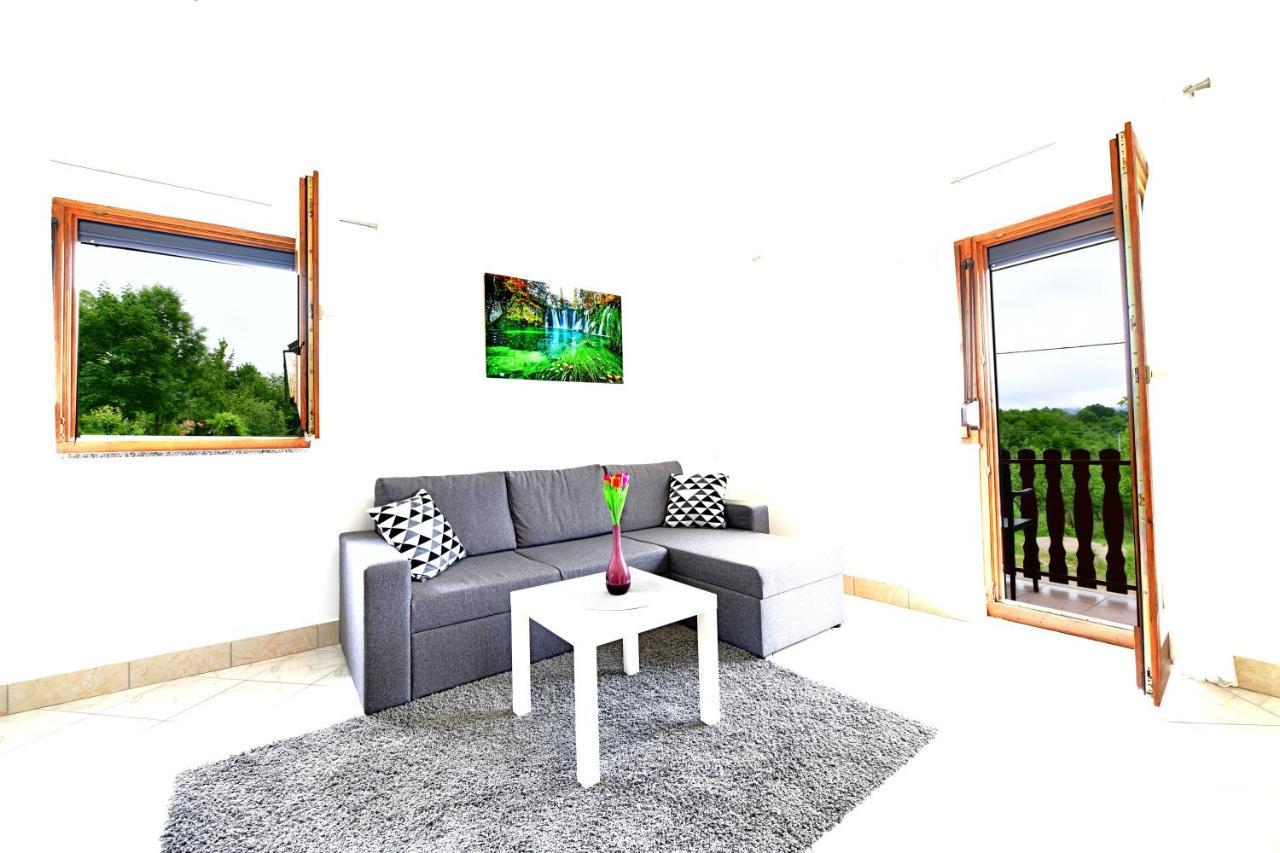 Apartman Mate ラコヴィツァ エクステリア 写真