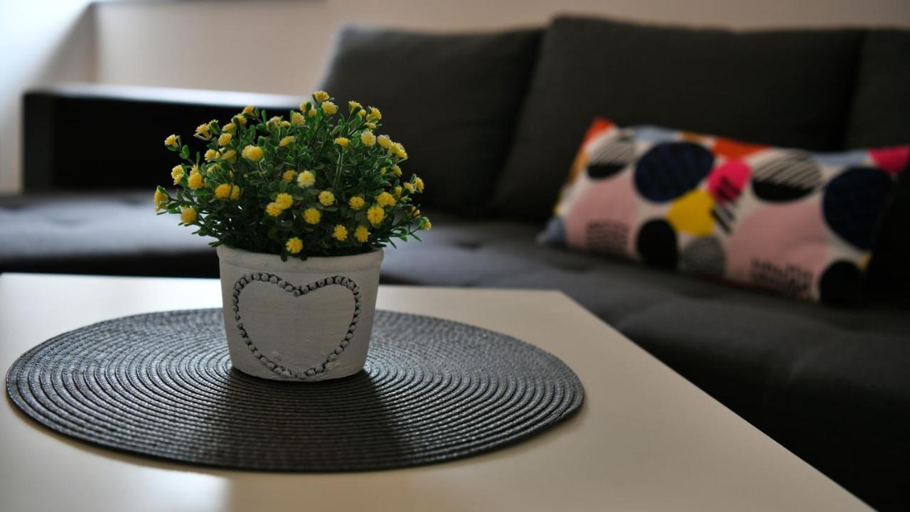 Apartman Mate ラコヴィツァ エクステリア 写真